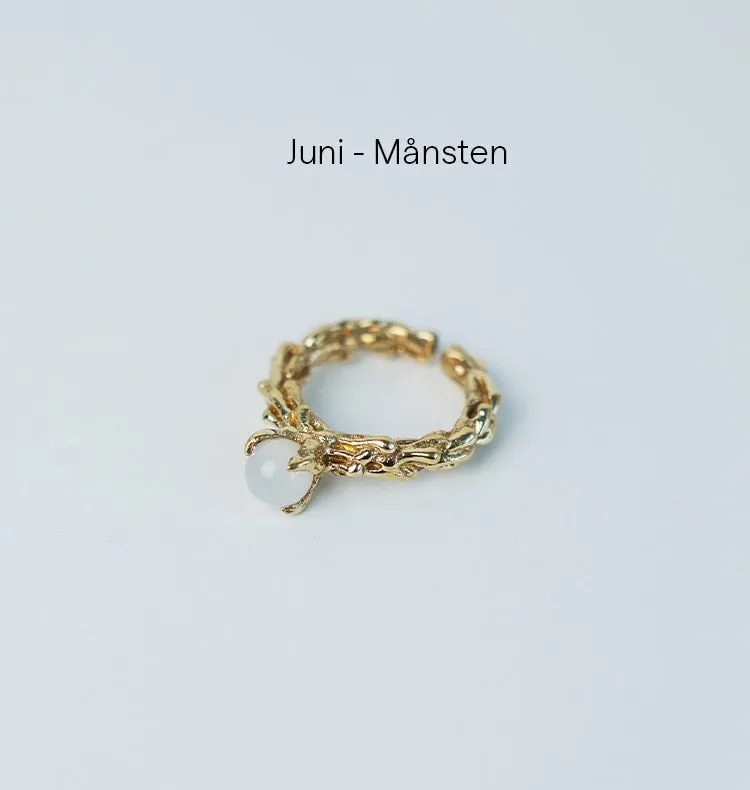Wos x Bedazzled Månedsstein ring messing april