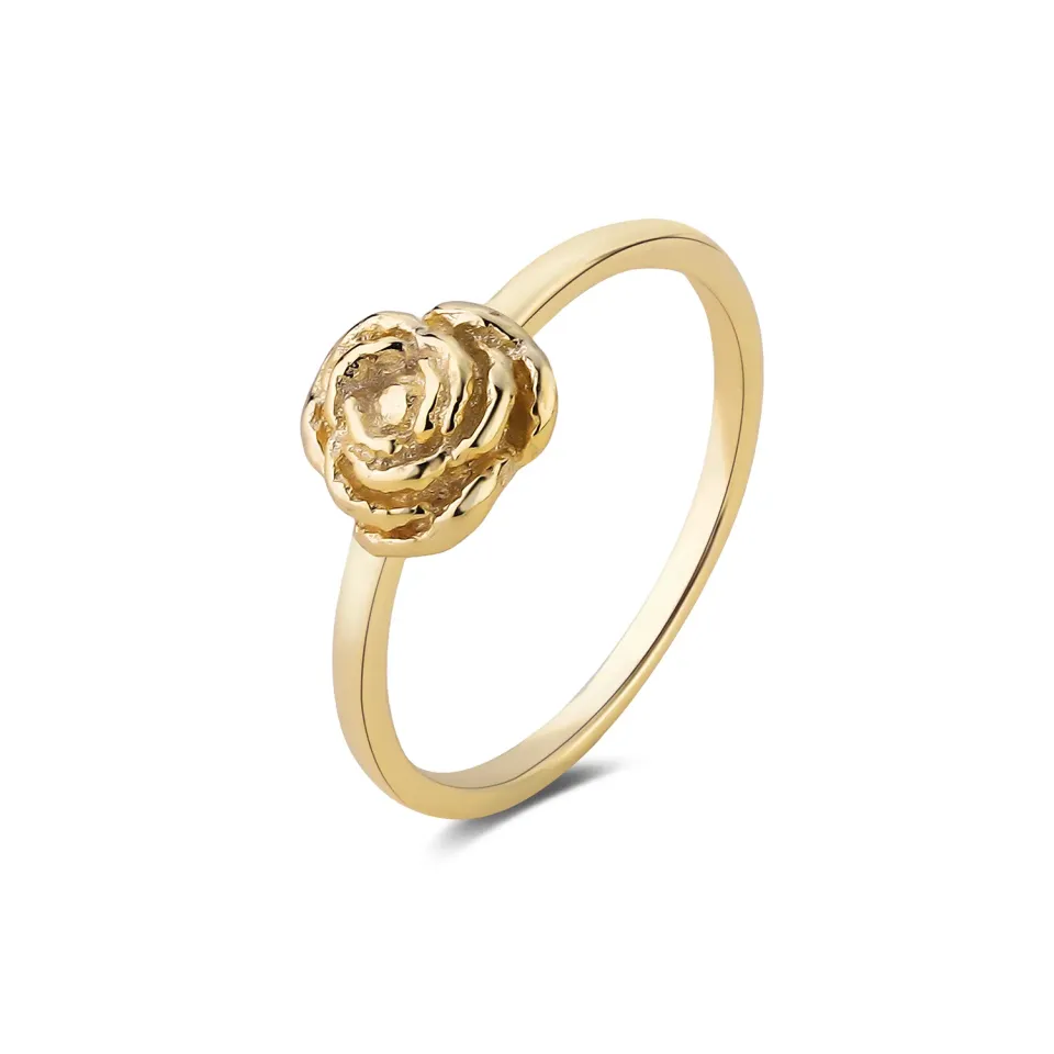 Wioga Anna-Auguste R-8823-GP ring forgylt rose str 50–56