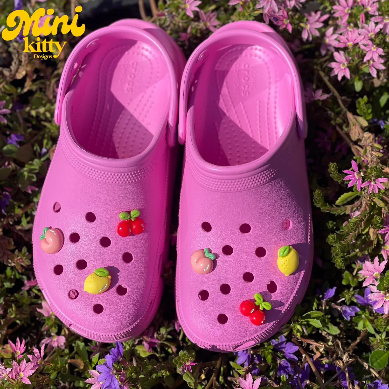 MiniKitty Fruit Croc Charms anheng sitron