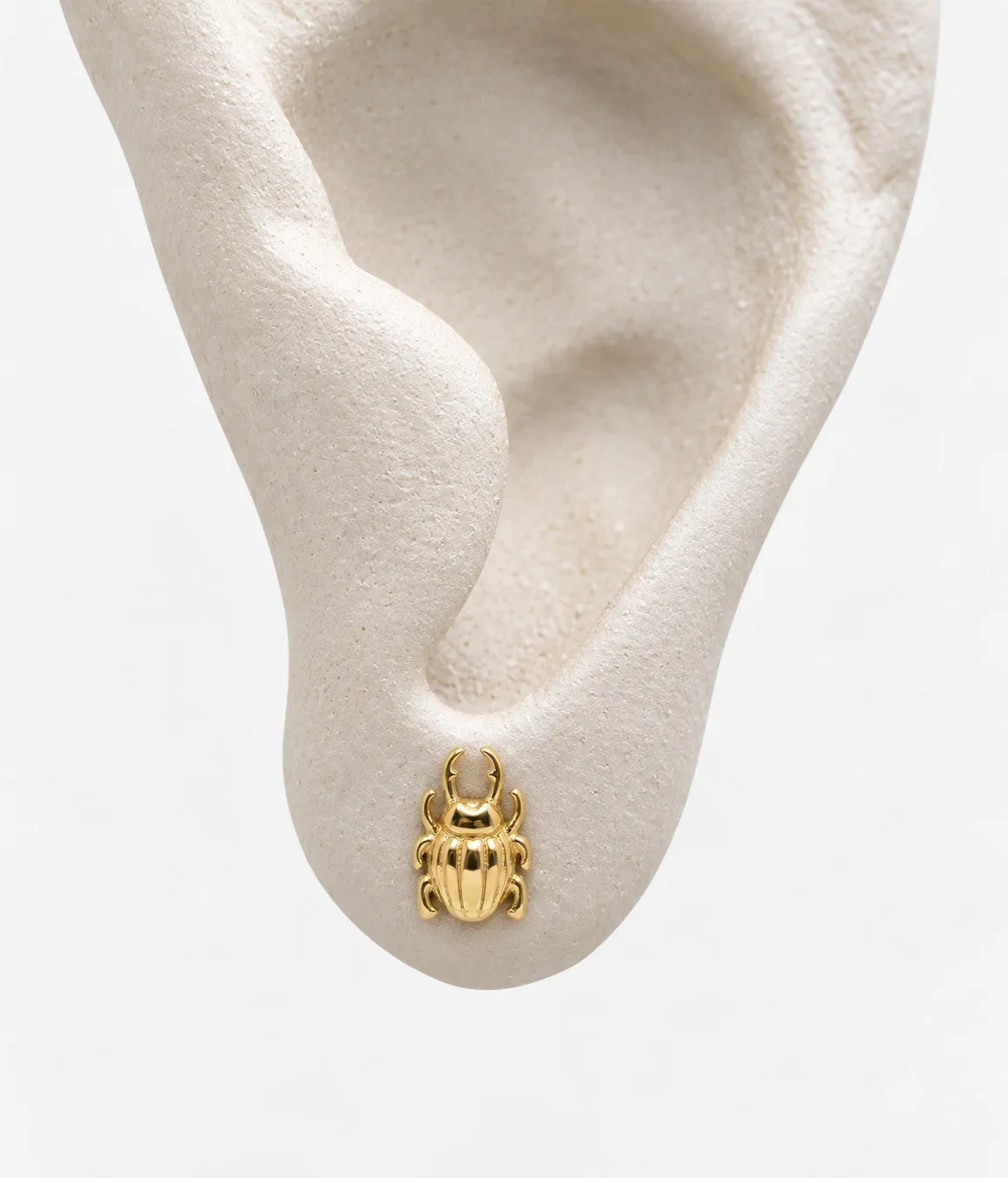 Wos Up Bug stud ørering gull bille 0,7 cm