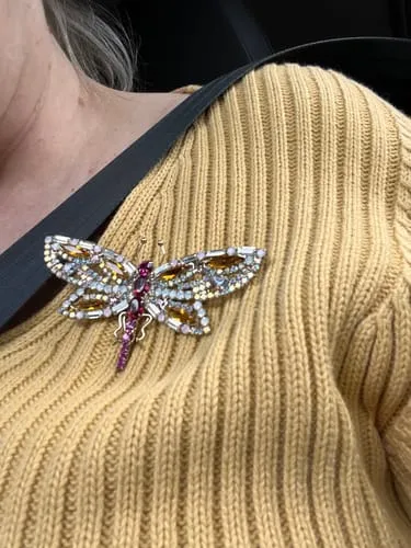 Loren Hope Ruby Radiant Dragonfly brosje multi