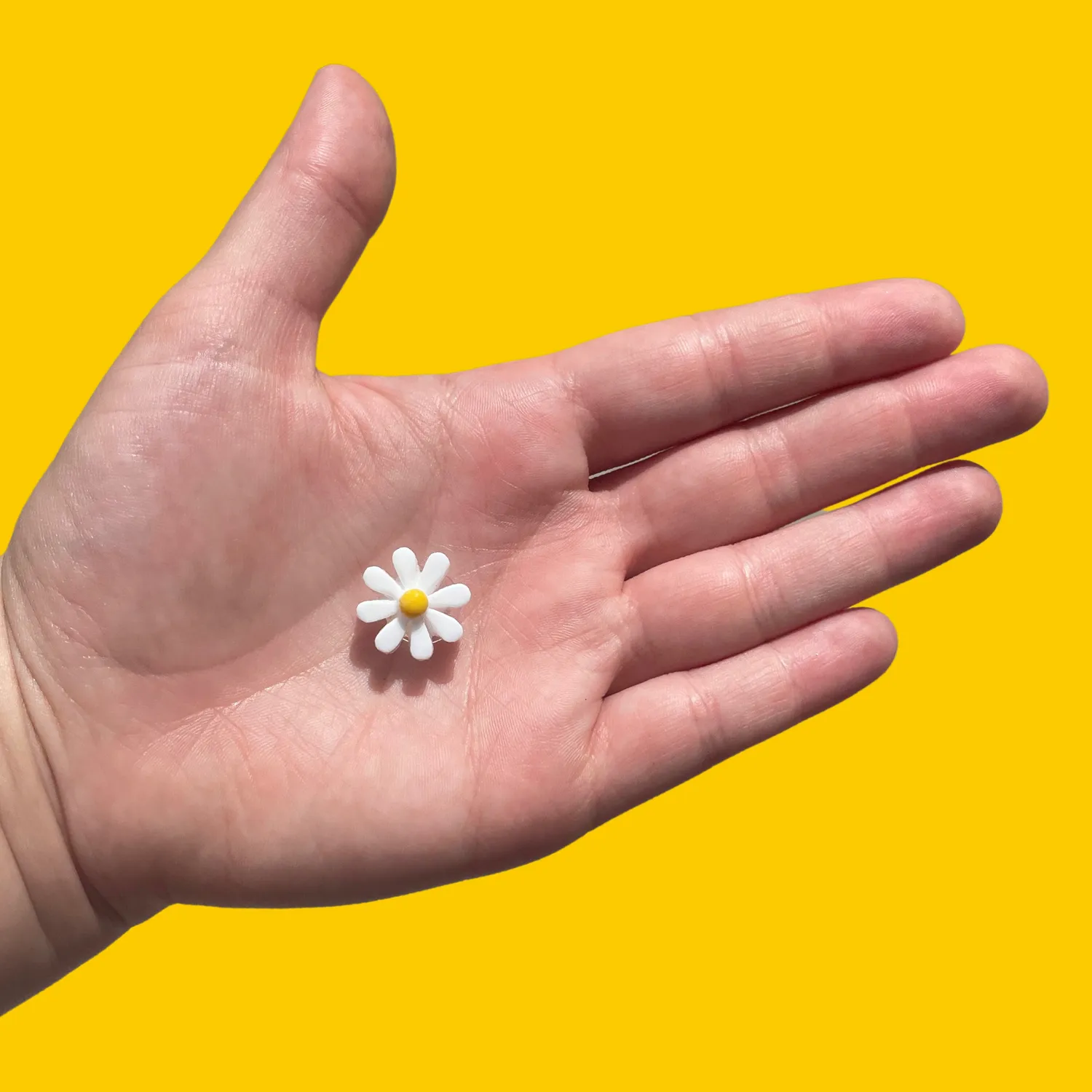 MiniKitty Springtime Croc charms blomster og dyr
